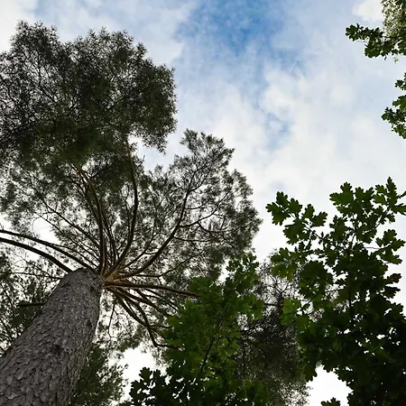 Sleep Space 2 - Tiny Spot Friesland 펜션