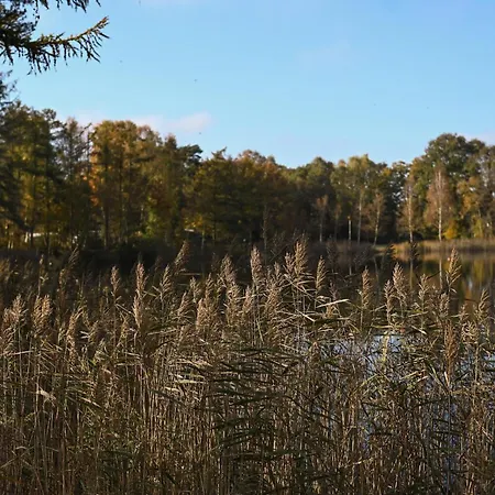 Sleep Space 2 - Tiny Spot Friesland