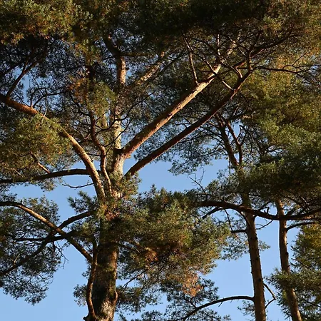 펜션 Sleep Space 2 - Tiny Spot Friesland 쇼르텐스