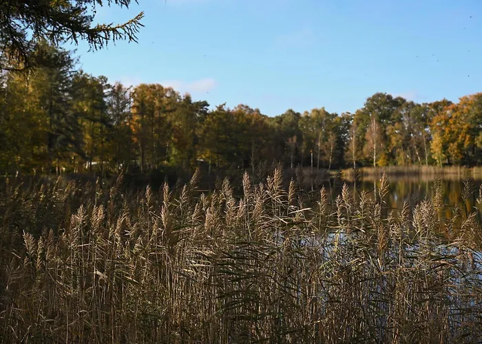 Sleep Space 2 - Tiny Spot Friesland