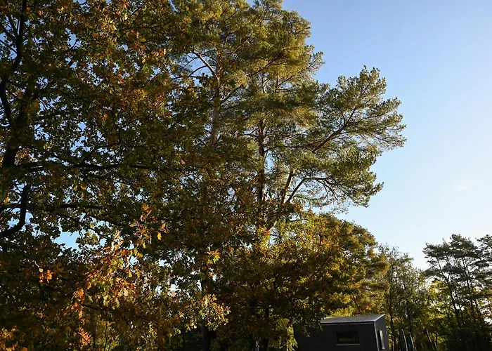 Casa de Férias Sleep Space 2 - Tiny Spot Friesland *