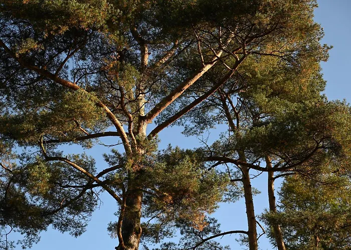 Casa de Férias Sleep Space 2 - Tiny Spot Friesland Schortens